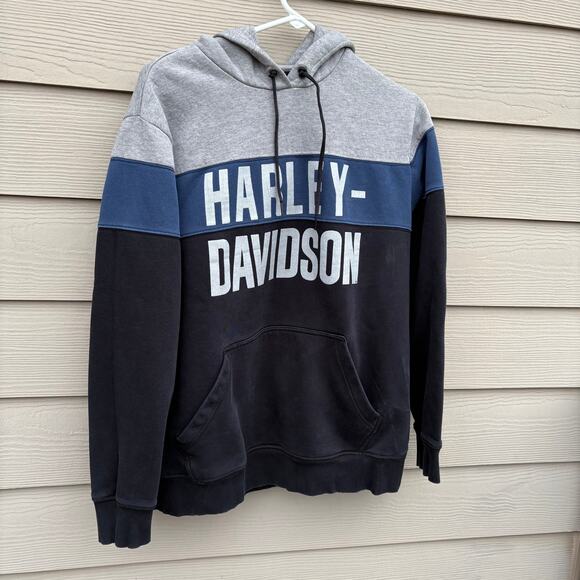 Harley-Davidson Men's Block Letter Colorblocked Pullover Hoodie Mens Medium - Picture 2 of 5